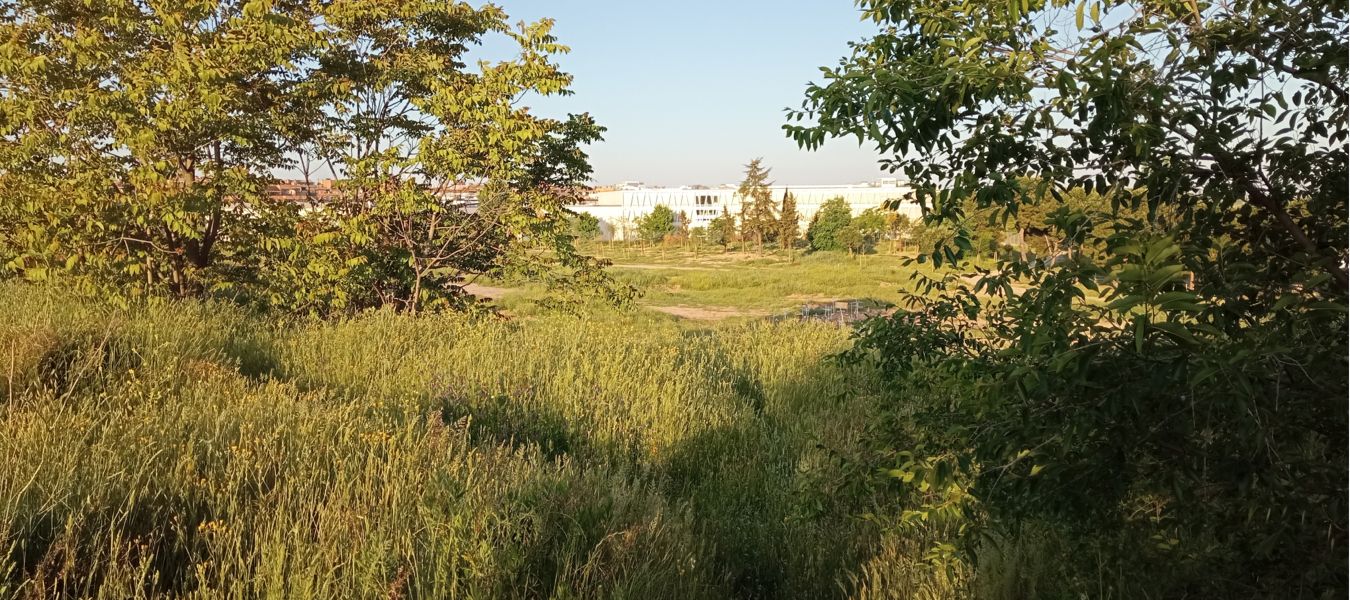 Parque de Montecarmelo